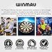 Winmau – Michael Van Gerwen MvG Signature Edition - 24g - 90% Tungsten - Professional Steel Tip Darts Set with Dart Flights and Stems (Shafts)