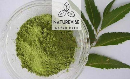 Naturevibe Botanicals Neem Capsules Premium 180 Veg Capsules | Herb For Healthy Skin | 1000 Mg Per Serving | Made With Organic Herb Neem Leaf Powder #TOP2