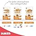 IAMS Katzenfutter trocken mit Lachs - Trockenfutter für Katzen im Alter von 1-6 Jahren, 3 kg
