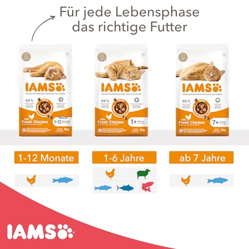 IAMS Katzenfutter trocken mit Lachs - Trockenfutter für Katzen im Alter von 1-6 Jahren, 3 kg
