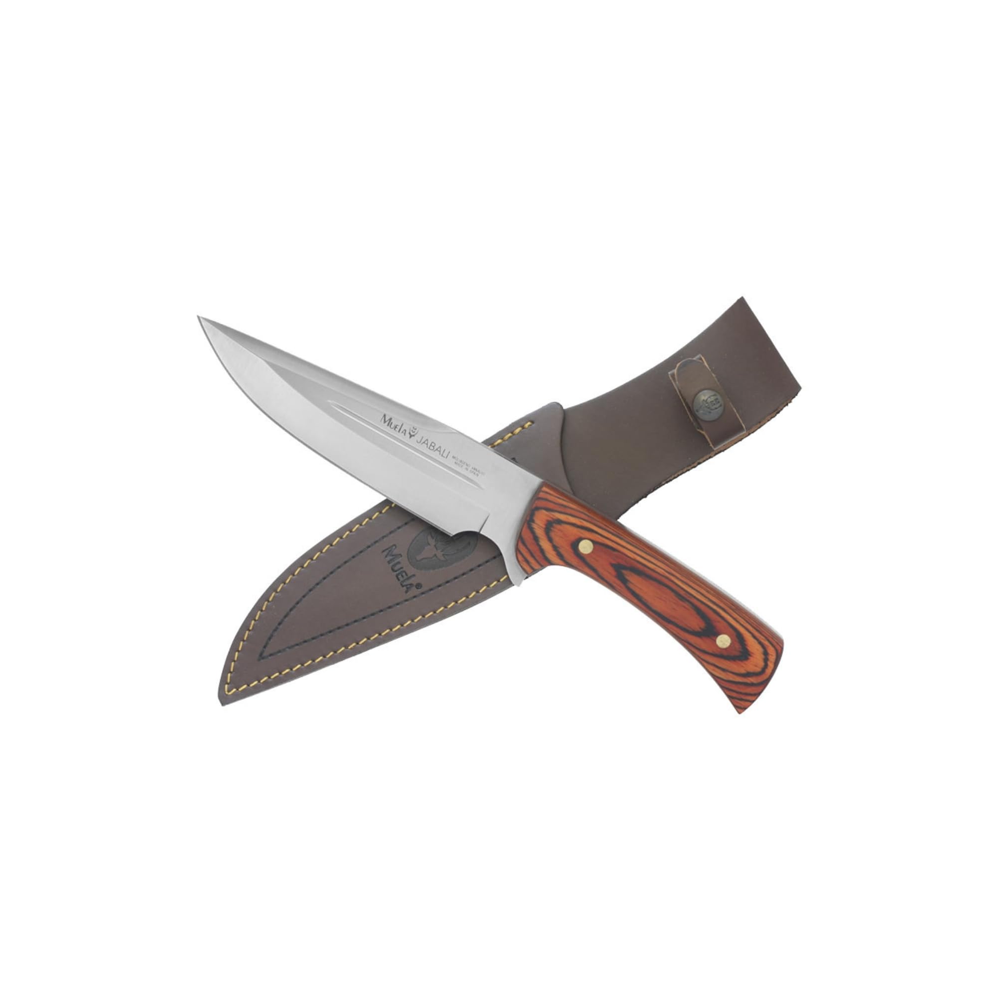 Muela JABALI-17 E Cuchillo Caza. Hoja fija 17cm. Acero MoVa y Mango de Madera Coral. Fabricado en España | Ideal para Caza, Montería, Rececho, Pesca,Supervivencia, Outdoor y Bushcraft | LO TRINCO YO