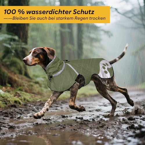 Manteau de pluie pour chien teckel imperméable et coupe-vent