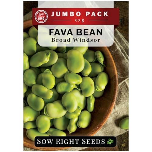 Sow Right Seeds - Bulk Broad Windsor Fava Bean Seeds for Planting - Non-GMO Heirloom Variety - Ideal for Home Gardens - Enjoy Nutritious Fresh Beans - Easy to Grow - Continuous Harvest