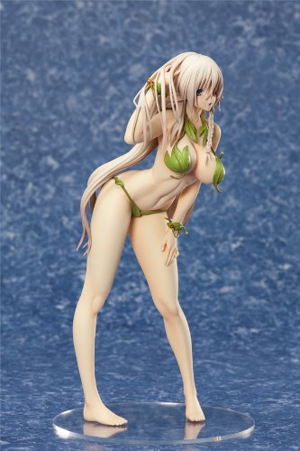 Amazon.com: Orchid Seed Queen's Blade Beautiful Fighters