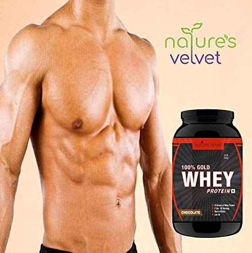 Image of nature's velvet Lifecare Gold Standard 100% Whey, Double Rich Chocolate, 2lb (1+1)