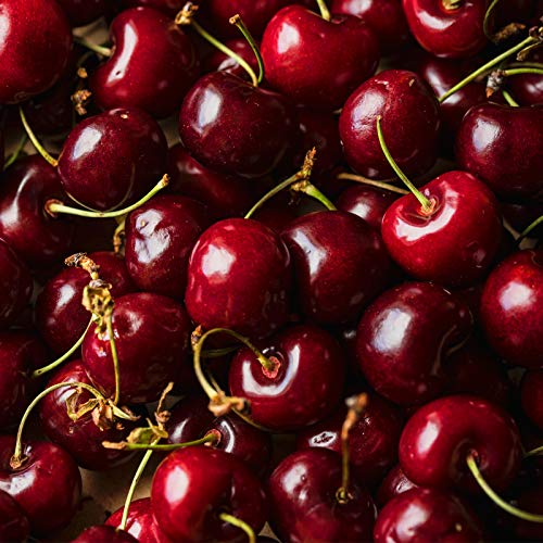 Sirop FruttaMax Griotte | Moins de sucre | 60% de concentré de fruits réels | Compatible avec machine à soda 500 ml – vue 3