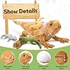 Tezituor Lizard Stuffed Animal with 4 Babies, 26.5" Realistic Big Bearded Dragon Plush Toy Home Decor Birthday Gifts for Boys Girls, Brown #3