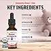 Dr. Green Mom Immunity Boost - Herbal Immune Support Supplement for Babies, Toddlers and Children - Liquid Drops with Organic Echinacea, Elderberry, Astragalus & Vitamin C