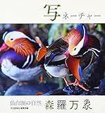 写 ネーチャー 仙台圏の森羅万象