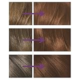 Clairol Nice'n Easy Permanent Hair Dye 109A/5WR Natural Warm Auburn - Image 3