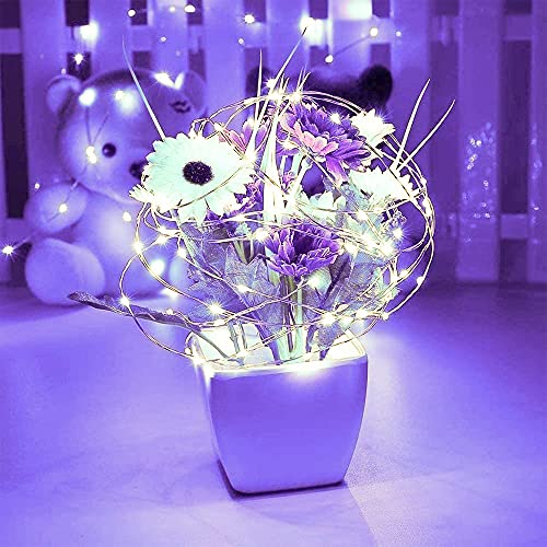 String Lights, Waterproof Led String Lights,2 Pack 20Ft 60 Led Festival Decorations Crafting Battery Powered Copper Wire Starry Fairy Lights #TOP15