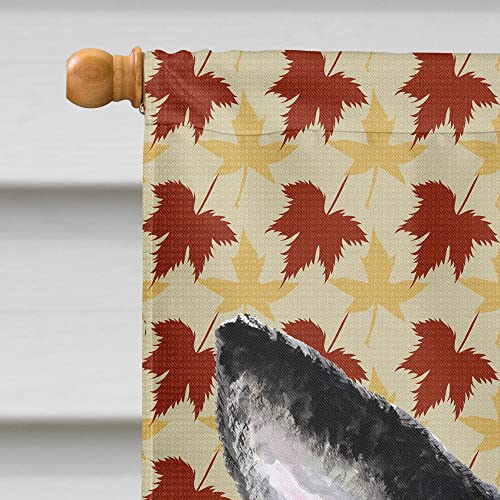 Boston Terrier Fall Leaves Portrait Flag grand drapeau maison - 4