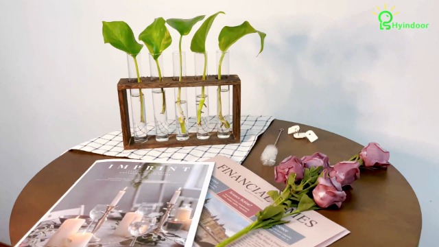 Vaso Da Parete Con Tubi In Vetro E Supporto In Legno - Decorazione Floreale Con 3 Provette Per Fiori - 4