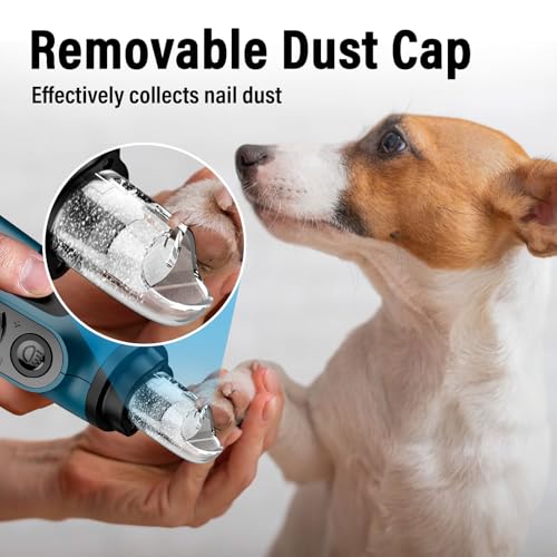 Casfuy Smarter Krallenschleifer für Hunde 6-Gang – 50% Mehr Leistung Krallenschleifer für Haustiere mit 2 LED-Leuchten, Superleise, Wiederaufladbare für Große, Mittelgroße und Kleine Hunde und Katzen