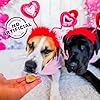 Old Mother Hubbard Wellness Bits of Love P-Nuttier Dog Biscuits, Natural, Seasonal, Valentine's Day Treats, Peanut Butter Flavor, (6 Ounce Bag) #3