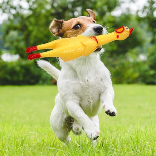 TOYANDONA Große Schreien Huhn Spielzeug Gelb Gummi Squaking Huhn Spielzeug Neuheit Und Langlebig Gummi Gag Hund Geschenk für Jungen Mädchen