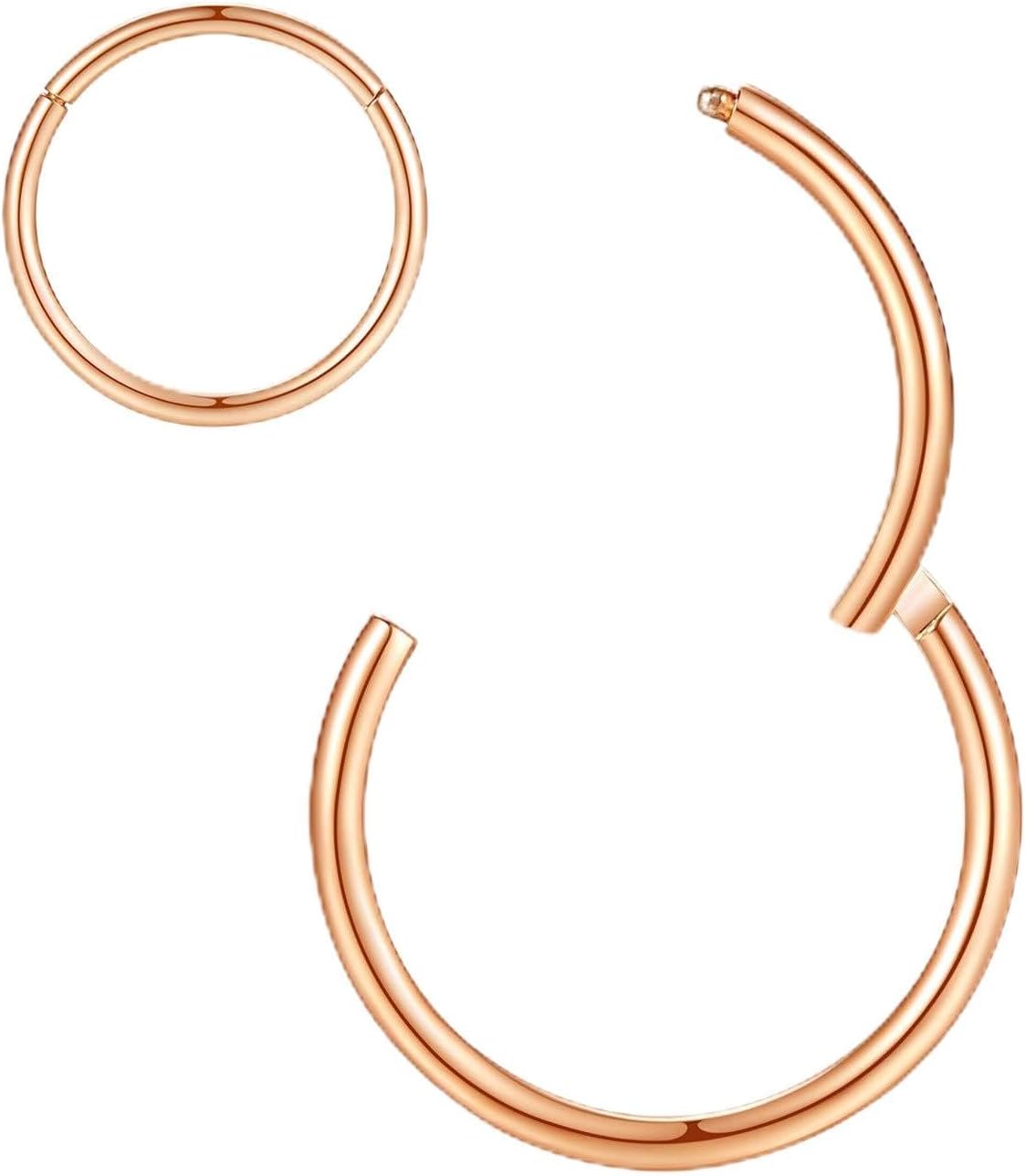 Hypoallergenic Nose Rings 20G 18G 16G 14G 12G 10G 8G 316l Surgical Steel Septum Jewelry Hinged Segment Ring Body Piercing Nose Hoop Lip Rings Nose Helix Cartilage Rook Earrings