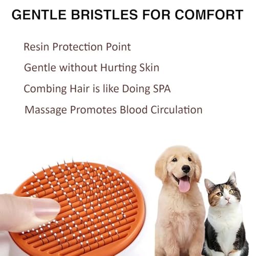 Image of PawBabas2-in-1 Pet Grooming Set for Dogs & Cats | De-Shedding Rake Comb for Thick Coats + Slicker Brush for Loose Fur & Detangling | Safe, Gentle & Effective Daily Grooming Tools