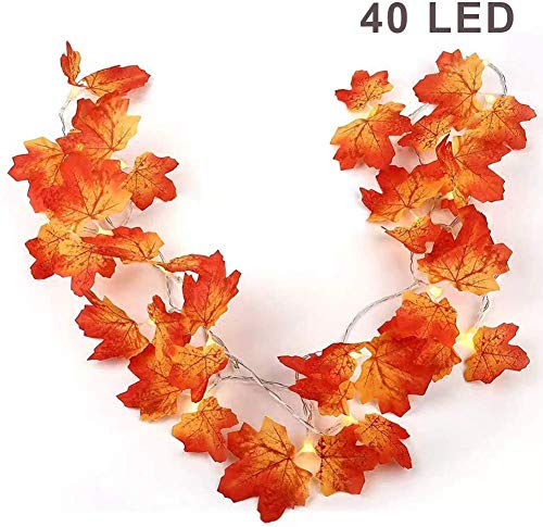 Twinkle Star Thanksgiving Decoration Fall Lights – Battery Operated