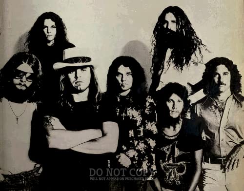 Photo Lynyrd Skynyrd 1977 - Cadeau idéal fan rock sudiste