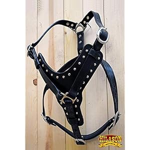 Hilason black medium leather dog harness padded genuine matching leash medium black | dog harness | dog leash | leather dog leash | dog walking harness | dog harness with leash | dog leash harness   cucciolini doodles