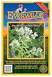 Everwilde Farms - 2000 Hairy Mountain Mint Native Wildflower Seeds - Gold Vault Seed Packet