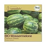 Samenliebe BIO Wassermelonen Samen | Melone Crimson Sweet - sehr s...