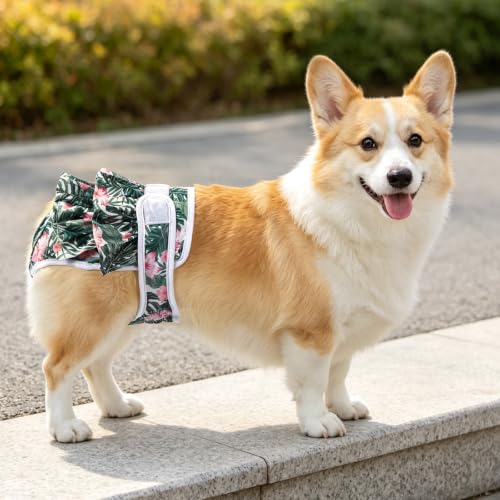 Image of Reusable Dog Diapers Female, Rainforest, M, 3 Pack