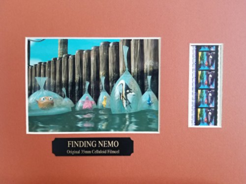 Finding Nemo Salmon Red 35mm Film & 4x5 Photo