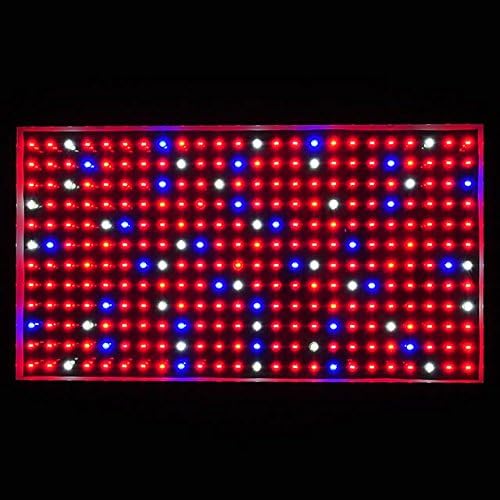 300W Pro Series High Power Hydroponic LED Grow Light with Red, Blue, Orange, and White, x2511RBOW