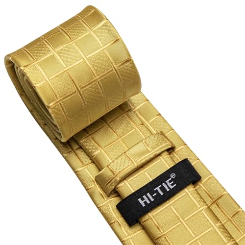 Image of Hi-Tie Mens Paisley Floral Striped Ties Set Silk Necktie and Lapel Pin for Men Pocket Square Cufflinks Set Business Wedding