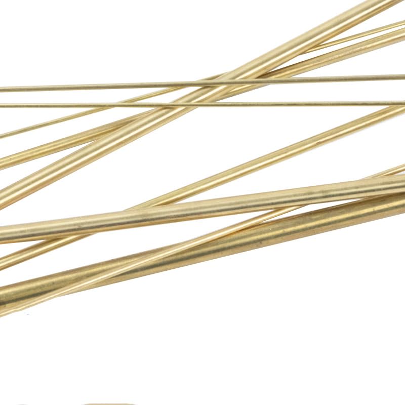 Billbergia 'Hula Auwana'〔ビルベルギア〕B0281 F00100_Dyckia