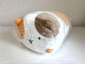 にょちお ぬいぐるみ 約30cm Amazon.co.jp: D4DJ にょちお ぬいぐるみ : おもちゃ