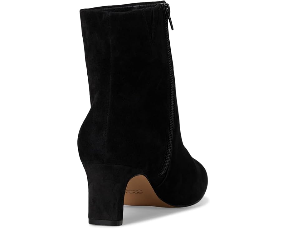 Andre Assous Winter - Back View