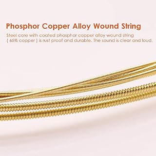 Btuty Cordes de guitare 6 pièces Cordes de guitare acoustique Corde revêtue de rouille avec noyau en acier pour guitare… - Les Beatles, Paul McCartney, John Lennon, RIngo Starr, George Harrison Btuty Cordes de guitare 6 pièces Cordes de guitare acoustique Corde revêtue de rouille avec noyau en acier pour guitare… – Image 3