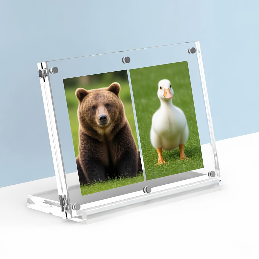 Dermonem For TCG For CCG Trading Cards Acrylic Brick Magnetic Card Display Stand Holder with 2/3 Slots Fits 35PT/55PT 3.5in K-pop Photocards (2 Slots)
