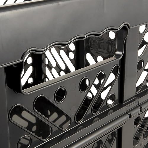 keeeper Stabile Profi-Klappbox mit Soft-Touch Griffen, 54 x 37 x 28 cm, 45 l, Ben, Graphit-Grau