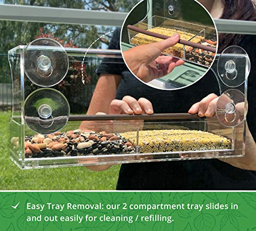 Large Window Bird Feeder with Strong Suction Cups - Innovative Anti-Yellowing Acrylic - Largest Seed Tray on The Market - No Assembly - Fathers Day