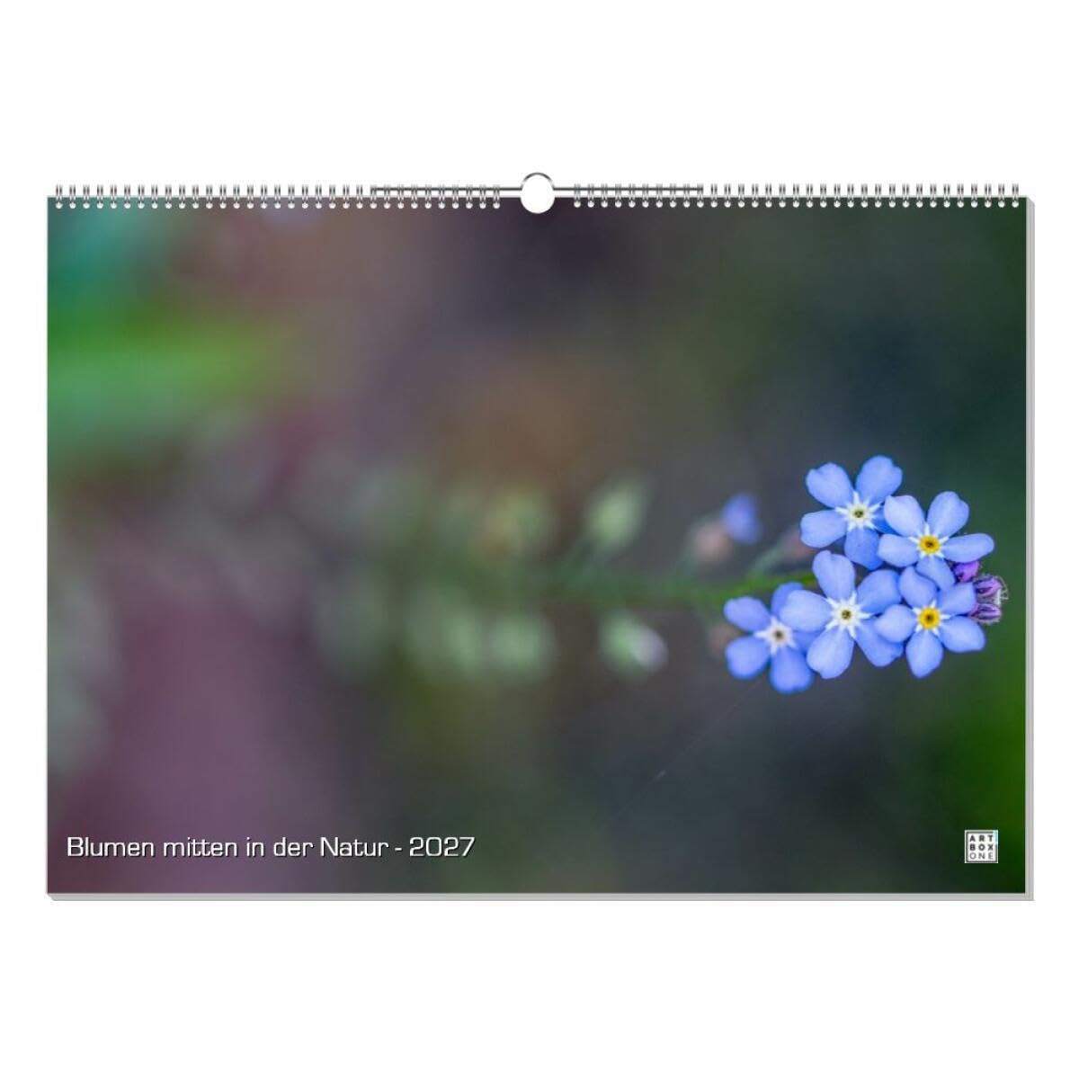 artboxONE Kalender 2027 Blumen mitten in der Natur Wandkalender A2 2027 Floral