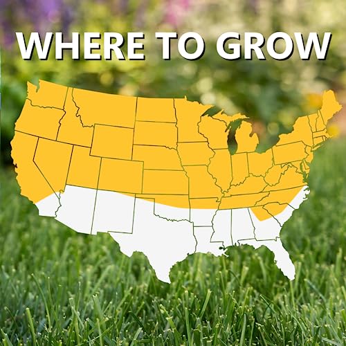 Jonathan Green (10316) Black Beauty Original Grass Seed Blend - Cool Season Lawn Seed (50 lb)