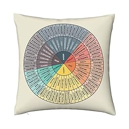 AIZAWA Wheel of Emotions...