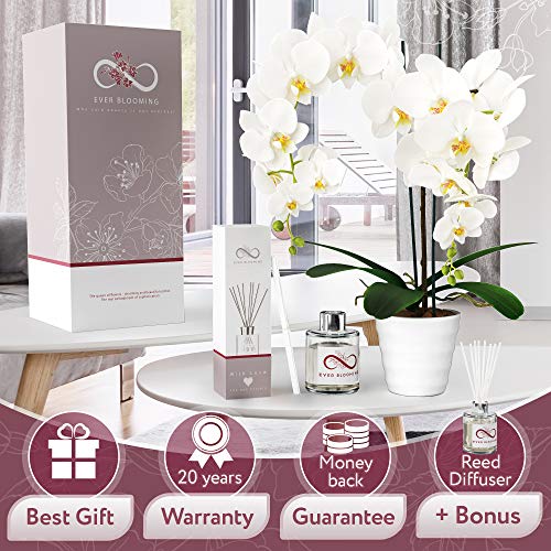 image for EVER BLOOMING Artificial Orchid Flowers Fake Potted Plants - Indoor Fa