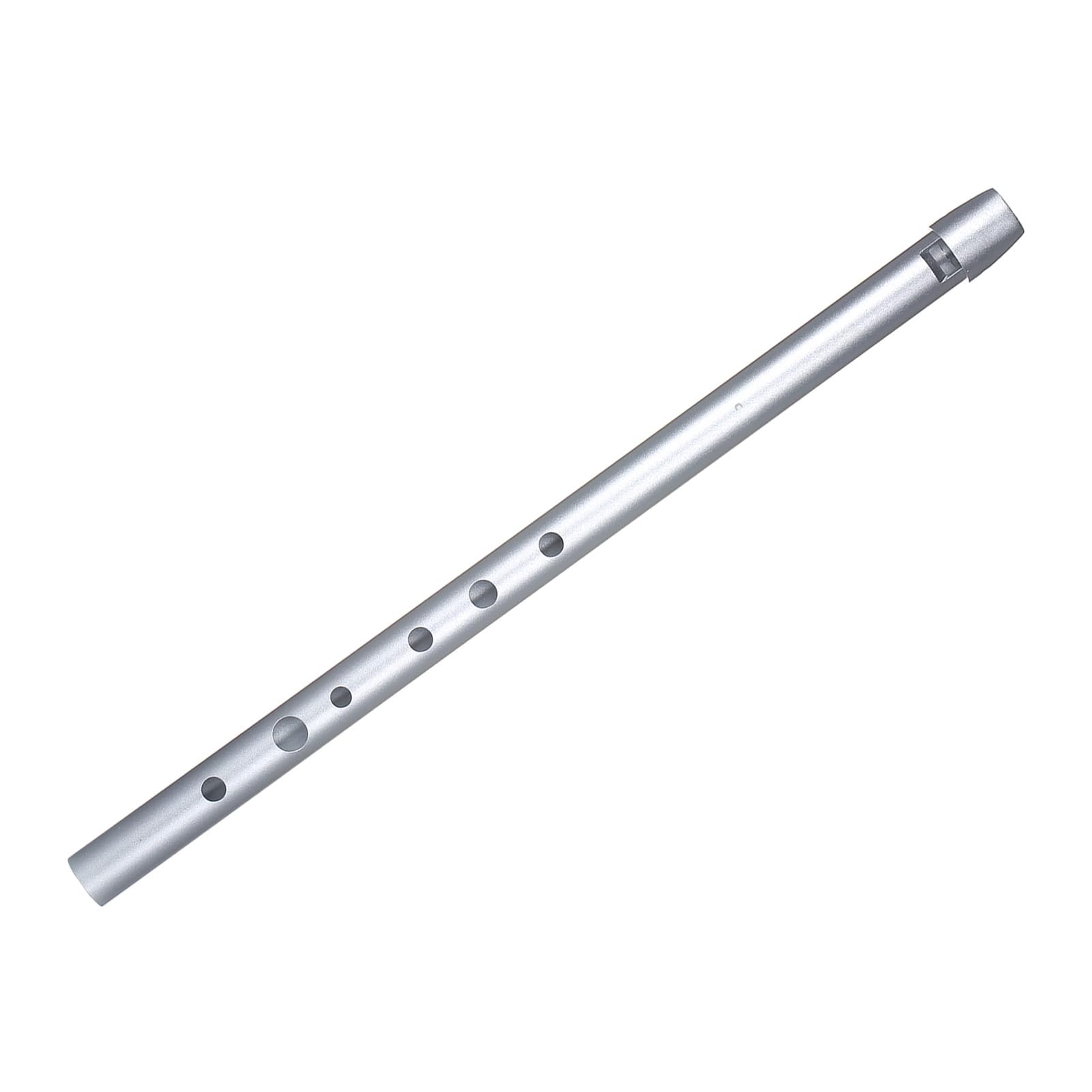 Sifflet Irlandais Traditionnel en étain pour Débutants, Facile à Jouer, clé de D, Instrument de Musique à Vent pour Débutants, Matériau étui Transparent, adapté aux, Intermédiaires et (Clé
