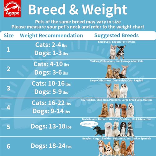 Image of Agape Soft Dog Cone for Small Dogs & Cats, Recovery Collar to Stop Licking | Comfy E-Collar Alternative for Puppies, Adjustable Cloth Cone After Surgery, Protective Neck Cone for Kittens, Washable