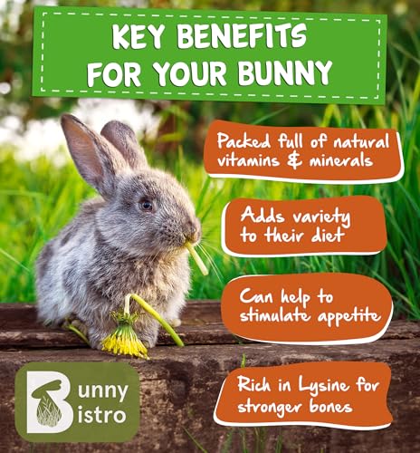 Bunny Bistro Flaked Peas 1kg | Natural Dried Pea Flakes for Guinea Pigs, Rabbit, Small Animal Treat, Healthy Forage for Small Pets - Image 4