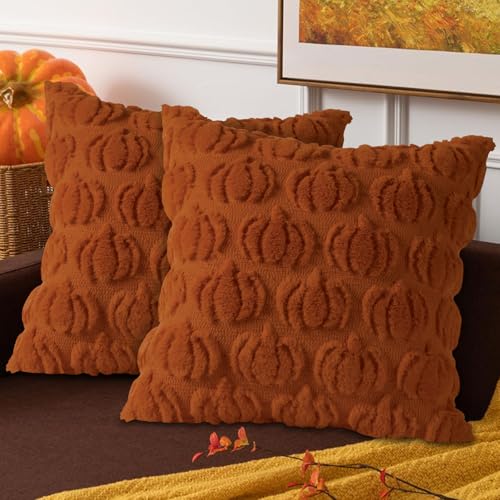 Benjia Fall 18x18 Throw Pillow Covers Set of 2, Autumn Rust Pumpk...
