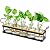 THYGIFTREE Plant Propagation Stations with Metal Stand, Tabletop Plant Terrarium for Propagating Hydroponic