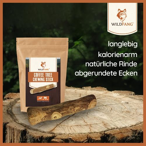 Welpen Paket XXL Willkommen Liebling Welpe - kleine Hunde | Starterset für Welpen, getreidefreie Snacks, Käsesnacks, Lederknochen, Kaustab aus Olivenholz, Kaffeeholz, Yak Cheese, Kauwurzel