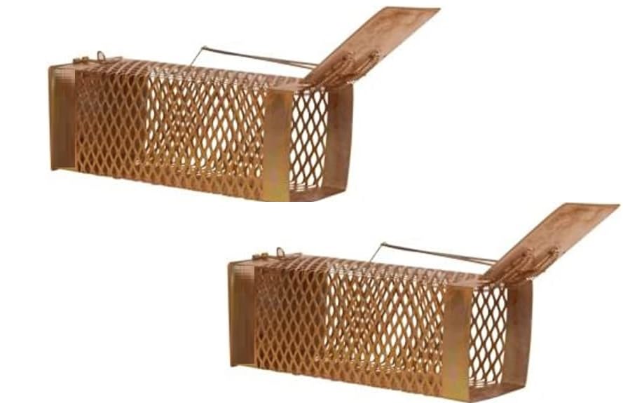 Livshine Rat/Mouse/Rodent Small Trap Cage Rustic Copper Set of 2 (Diamond Trap), (22 X 8 X 8) Cm (B0DDBVM149) Amazon Price History, Amazon Price Tracker