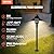 VEVOR 8 Pack Low Voltage Landscape Path Lights, 3W 210LM 12V-24VAC/DC Outdoor LED Pathway Lighting, 3000K Warm White Walkway Lights with Quick Connectors, IP66 Waterproof for Yard Garden Sidewalk